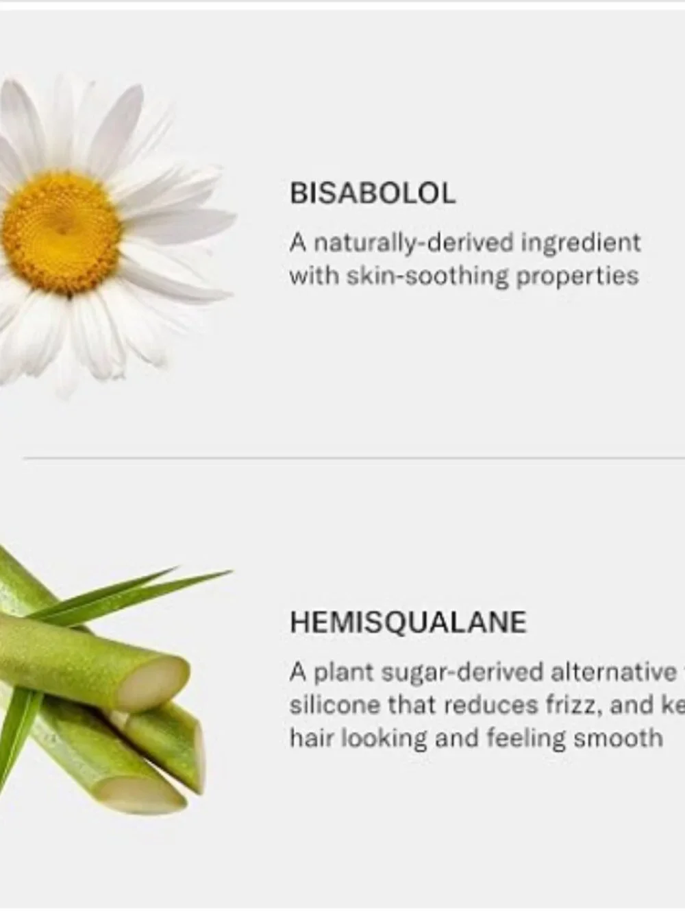 SEEN Shampoo, Fragrance Free - Non-Comedogenic Shampoo- Dermatologist-Developed